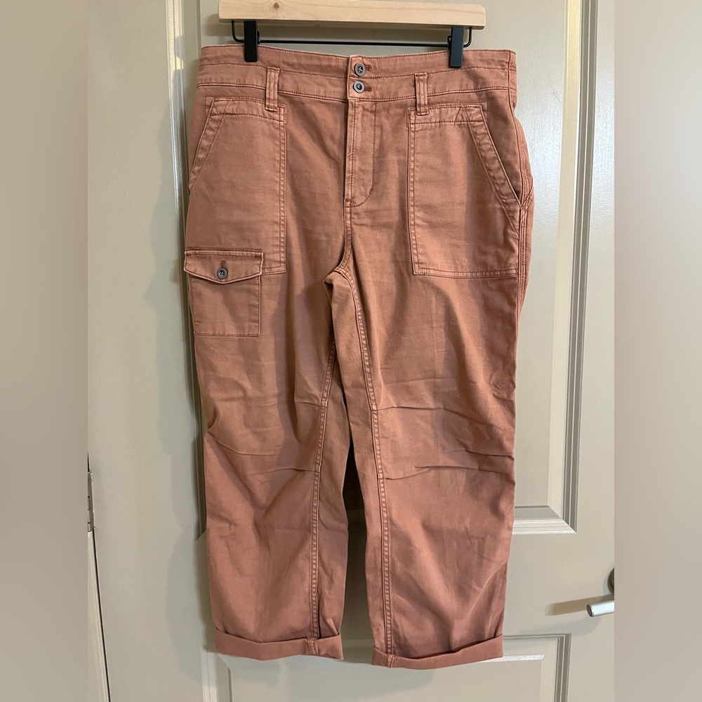 Anthropologie Wanderer High-Rise Cargo Pants Size 31P